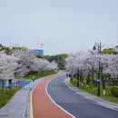 绍兴旅游 缩略图 3