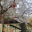 合肥旅游 缩略图 3