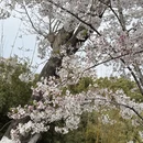 合肥旅游 缩略图 5