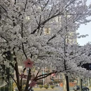 合肥旅游 缩略图 4