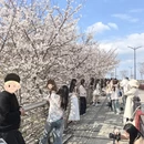 绍兴旅游 缩略图 1