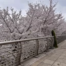 绍兴旅游 缩略图 3