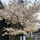 合肥旅游 缩略图 6
