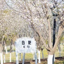 合肥旅游 缩略图 18