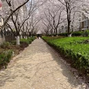 合肥旅游 缩略图 5