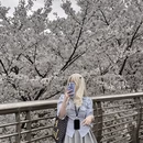 绍兴旅游 缩略图 1