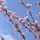 绍兴旅游 缩略图 3