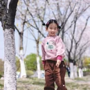 合肥旅游 缩略图 2