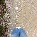 合肥旅游 缩略图 7