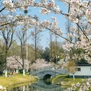 合肥旅游 缩略图 1