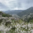 绍兴旅游 缩略图 5
