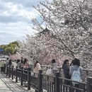 绍兴旅游 缩略图 13