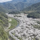 绍兴旅游 缩略图 1