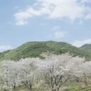 绍兴旅游 缩略图 6