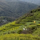 绍兴旅游 缩略图 14