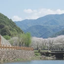 绍兴旅游 缩略图 7