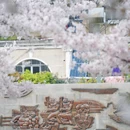 合肥旅游 缩略图 8