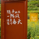 绍兴旅游 缩略图 17