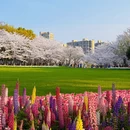 绍兴旅游 缩略图 2