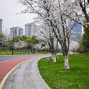 绍兴旅游 缩略图 5