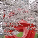 合肥旅游 缩略图 1