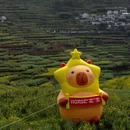 绍兴旅游 缩略图 12
