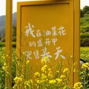 绍兴旅游 缩略图 18