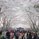 合肥旅游 缩略图 11