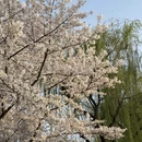 绍兴旅游 缩略图 6