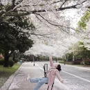 绍兴旅游 缩略图 1