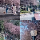 合肥旅游 缩略图 1