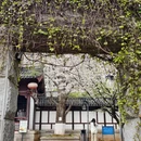绍兴旅游 缩略图 3