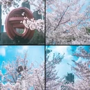 合肥旅游 缩略图 4