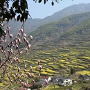 绍兴旅游 缩略图 9