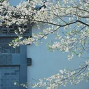 绍兴旅游 缩略图 4
