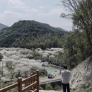 绍兴旅游 缩略图 16