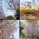 合肥旅游 缩略图 5
