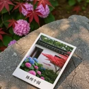 扬州旅游 缩略图 6
