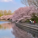 北京旅游 缩略图 6