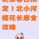 北京旅游 缩略图 1