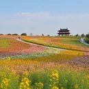 南京旅游 缩略图 6