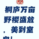 杭州旅游 缩略图 1