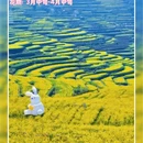 绍兴旅游 缩略图 6