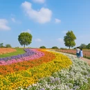 南京旅游 缩略图 5