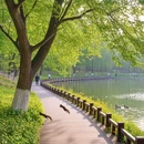 南京旅游 缩略图 10