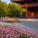 上海旅游 缩略图 4
