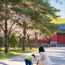 北京旅游 缩略图 6