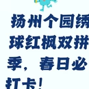 扬州旅游 缩略图 1