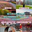 上海旅游 缩略图 1