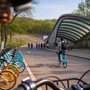 南京旅游 缩略图 6